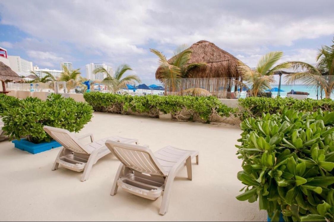 Salvia 303 Cancun